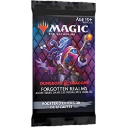 Magic - Booster Forgotten...