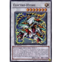 STOR-FR044 Électro-Hydre...